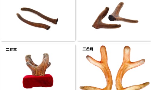 脐肉芽肿会自己好吗-宝宝脐肉芽肿挂什么科网 - 为你提供42天的宝宝脐肉芽肿什么时候带去治疗最好、婴儿脐肉芽肿图片大全