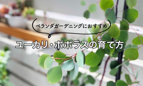 脐肉芽肿会自己好吗-宝宝脐肉芽肿挂什么科网 - 为你提供42天的宝宝脐肉芽肿什么时候带去治疗最好、婴儿脐肉芽肿图片大全