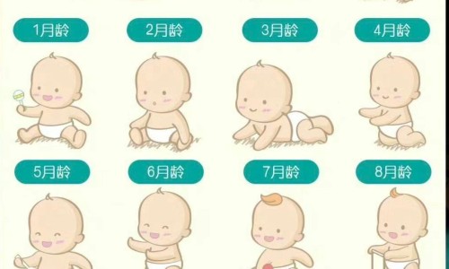 婴儿脐肉芽肿图片大全-宝宝脐肉芽肿挂什么科网 - 为你提供42天的宝宝脐肉芽肿什么时候带去治疗最好、婴儿脐肉芽肿图片大全